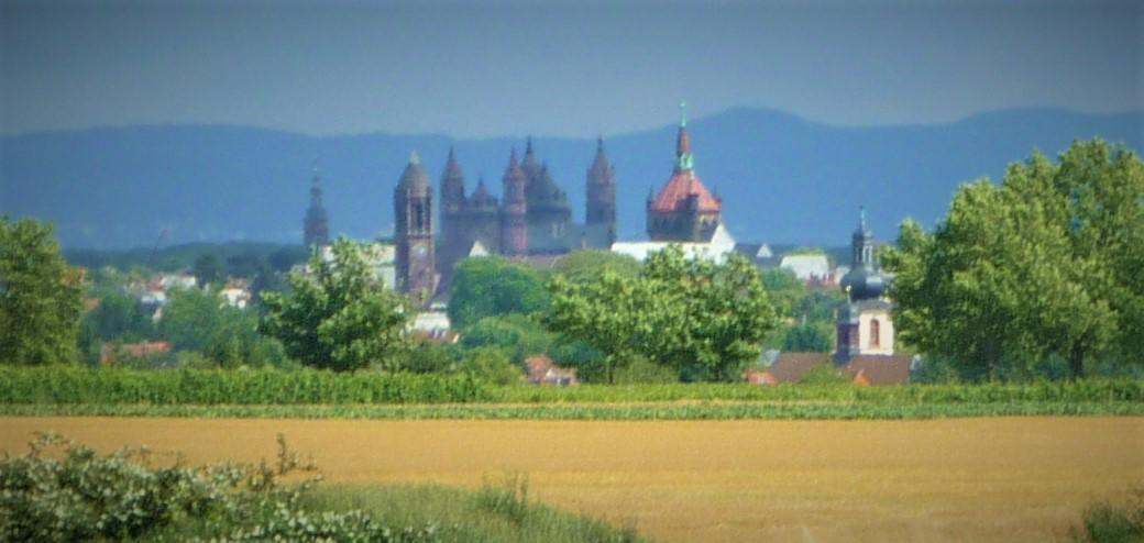 Landhaus Rebstock Вормс Екстериор снимка
